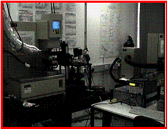 Echo dynamic light scattering and rheometer